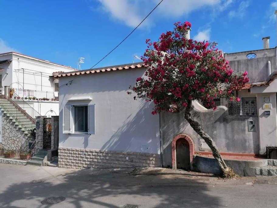 Sweet Home, Anacapri Exterior photo